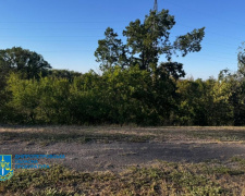 Хотіли вкрасти криворізький ліс: Апостолівській громаді повернули землі лісового фонду