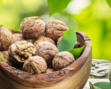 Волоські горіхи - фото з відкритих джерел