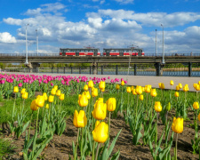 Фото Євгена Дійнеги