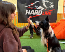 Фото кінологічного загону «Антарєс»