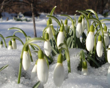 Сухо, ясно і слизько: детальний прогноз погоди по регіонах - фото з відкритих джерел