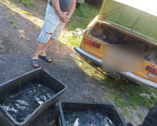 Фото патрульної поліції Дніпропетровської області