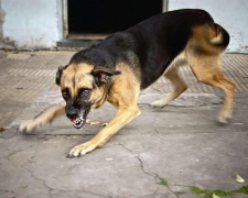 Фото з відкритих джерел