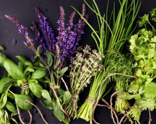 Шість трав, які краще сіяти в приміщенні заздалегідь - фото з відкритих джерел