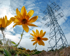 фото пресслужби ДТЕК