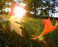 Погода на вікенд - фото ілюстративне з відкритих джерел  