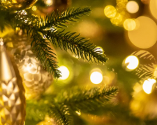 Як обрати кольори, що подобаються Вогняному Коню - фото з відкритих джерел