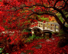 Погода на вікенд - фото ілюстративне з відкритих джерел  