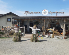 Ферма, що повертає до життя: ветеранське подружжя з Дніпропетровщини створили простір реабілітації