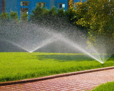 Полив без помилок - фото з відкритих джерел