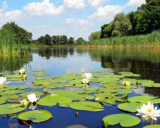 Погода на тиждень - фото ілюстративне з відкритих джерел 