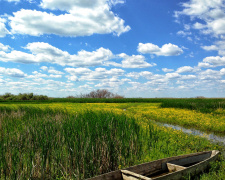 Погодна тиждень - фото ілюстративне з відкритих 