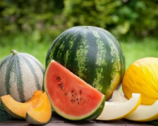 Який літній фрукт корисніший: порівнюємо кавун і диню - фото з відкритих джерел