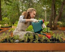 Актуальні рекомендації та оптимальні дати для посадок і робіт у саду та на городі - фото з відкритих джерел