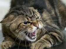 Сказ на Дніпропетровщині, фото з відкритих джерел 