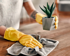 Фото з відкритих джерел