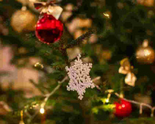 Догляд за живою ялинкою: перевірені лайфхаки - фото з відкритих джерел