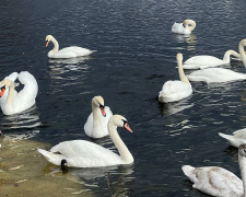 Криворізький вікенд: афіша подій 14 та 15 березня на будь-який смак