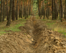 Убезпечити ліси від пожеж: як на Дніпропетровщині готуються до пожежонебезпечного періоду