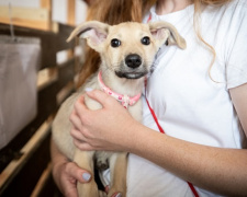 Життя з хронічною хворобою - фото з відкритих джерел