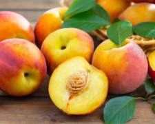 Два смачні фаворити літа: хто з них корисніший - фото з відкритих джерел