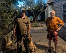 Чотирилапий детектив Криворіжжя: вівчарка Бадді допомогла поліцейським знайти зниклого дідуся