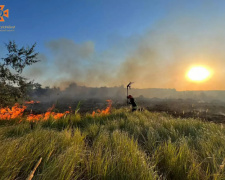 в екосистемах Дніпропетровщини сталося майже 2 тисячі пожеж