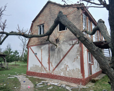 Фото Дмитро Невеселий