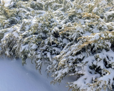 сніг у Кривому Розі, фото редакції krivbass.city