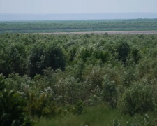 Скриншот відео
