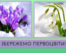 Фото з відкритих джерел