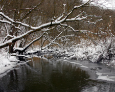 Погода на тиждень - фото ілюстративне з відкритих джерел 
