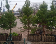 Фото krivbass.city