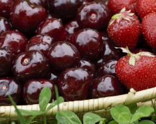 В Україні розпочався сезон полуниці та черешні: ціни на ягоди побили всі рекорди