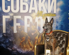 Фото Лариси Борисенко