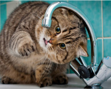 Відключення води, фото з відкритих джерел 