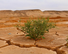 Глобальне потепління - фото ілюстративне з відкритих джерел