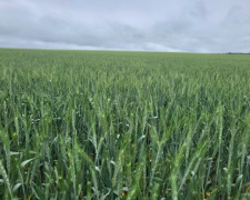 Посівна, фото пресслужби Криворізької РВА