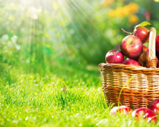 Серпень без поблажок: як працюємо і що святкуємо у 2025 році - фото з відкритих джерел