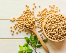 Всі секрети сої: білок, м’язи та здорове харчування - фото з відкритих джерел