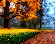 Погода на тиждень - фото ілюстративне з відкритих джерел 