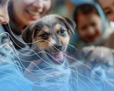 Криворізький вікенд: головні події міста 20 та 21 вересня 