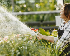 Сад просить води: що потрібно зробити кожного ранку в спеку - фото з відкритих джерел