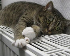 Опалювальний сезон у Кривому Розі, фото Pixabay