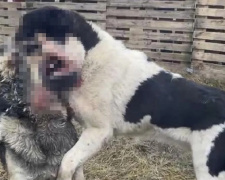 Фото Snezhana Buhrik