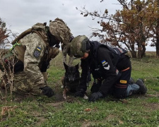Фото Павлоградського пошуково-рятувального кінологічного загону «Антарєс»
