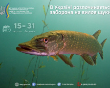 Фото Дніпропетровський рибоохоронний патруль