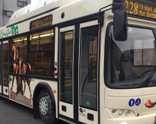В Кривом Роге маршруты с новыми автобусами работают без перебоев, – горисполком