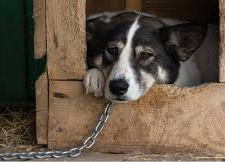 фото з відкритих джерел