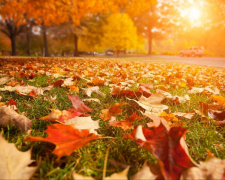 Погода на тиждень - фото ілюстративне з відкритих джерел 